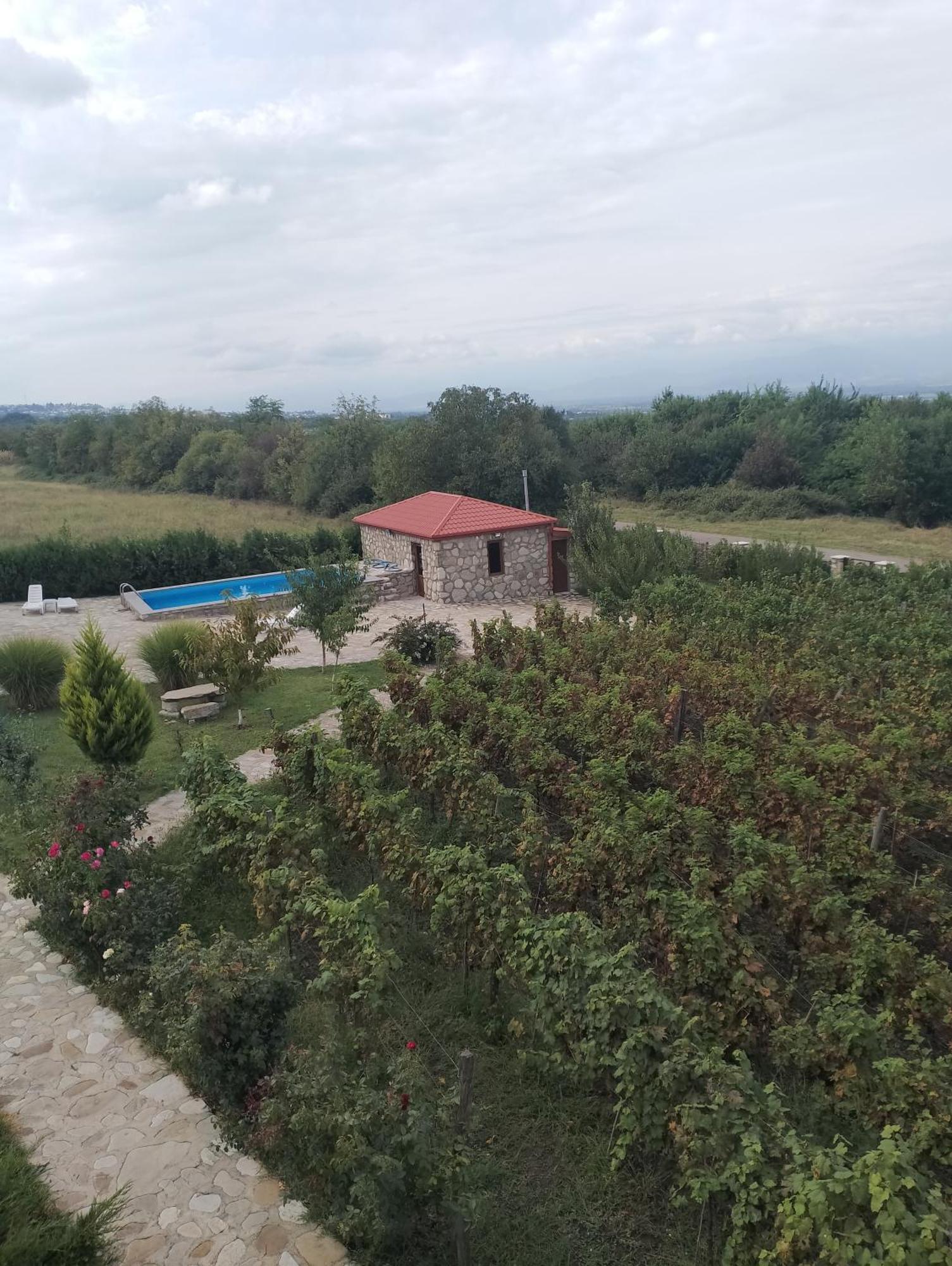 Kisiskhevi Chateau Tetri Bairagebi White Flags מראה חיצוני תמונה