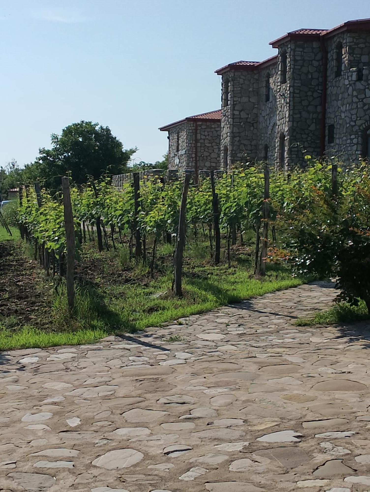 Kisiskhevi Chateau Tetri Bairagebi White Flags מראה חיצוני תמונה